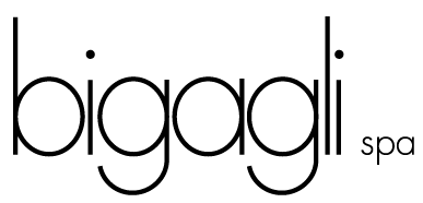 Logo BIGAGLI